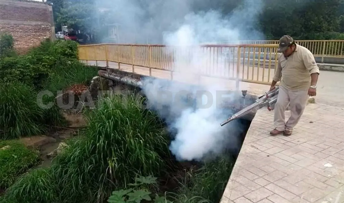 La fumigación se realizó desde la mañana hasta la tarde de este sábado. Advierten que se esperan buenos resultados. Cortesía