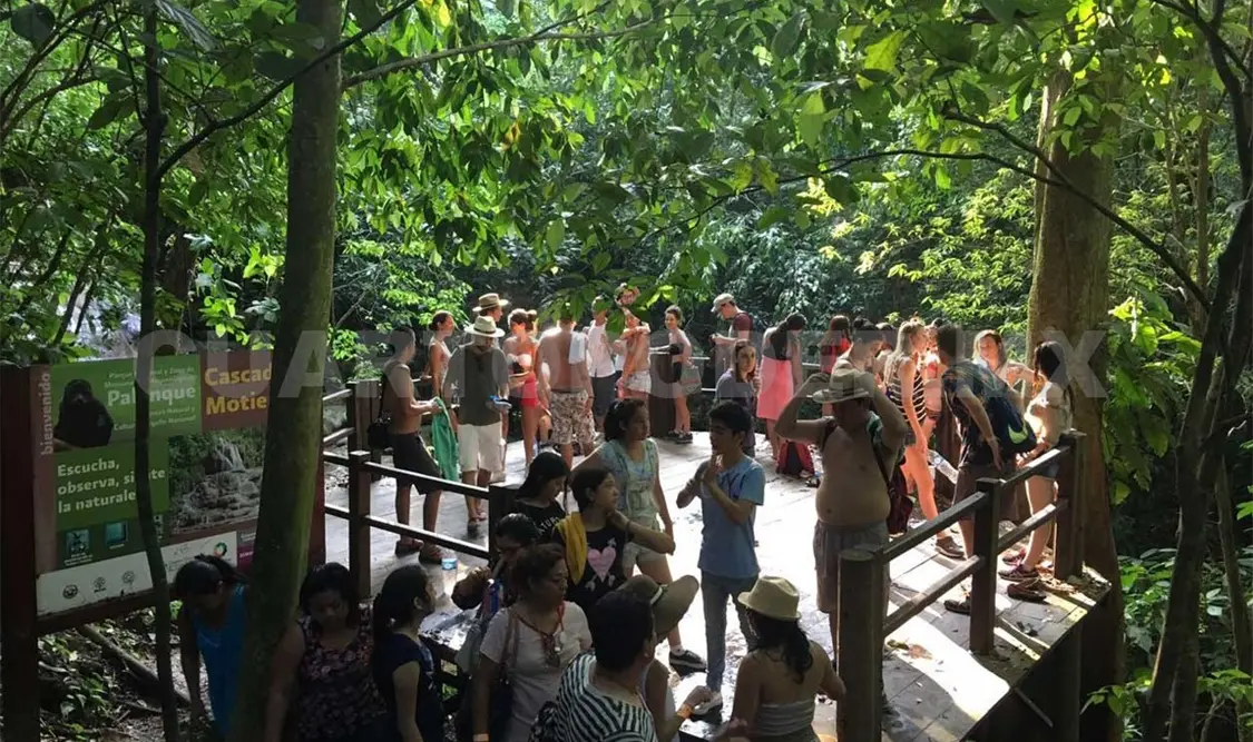 Auguran visita de 3.5 millones de turistas