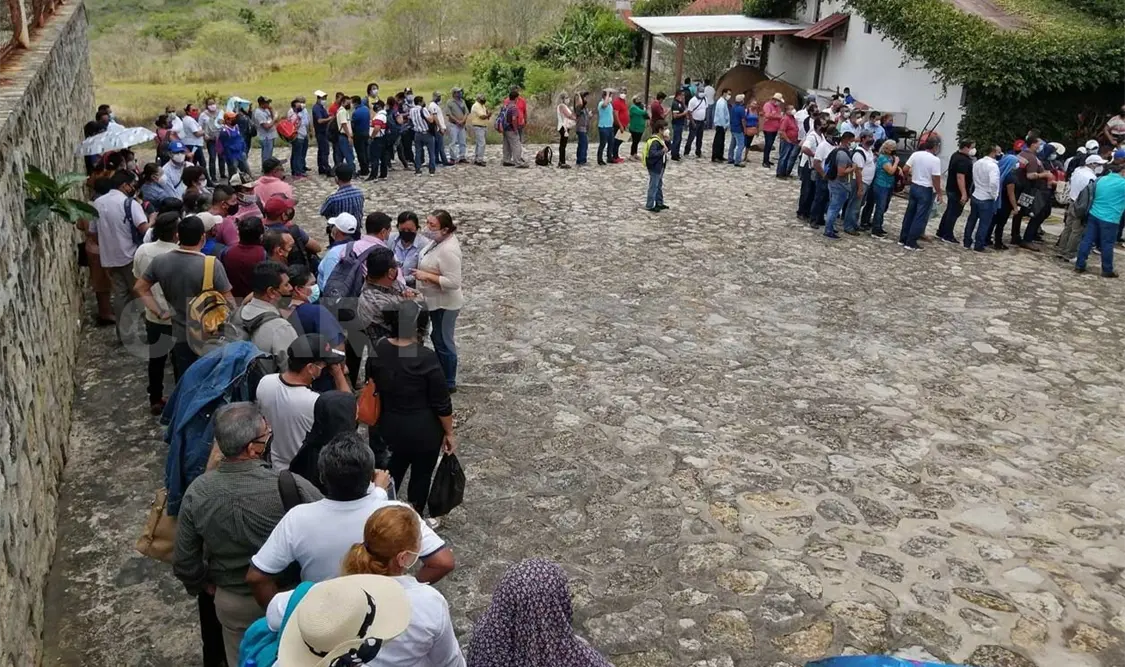 Siembran árboles en entrada y salida