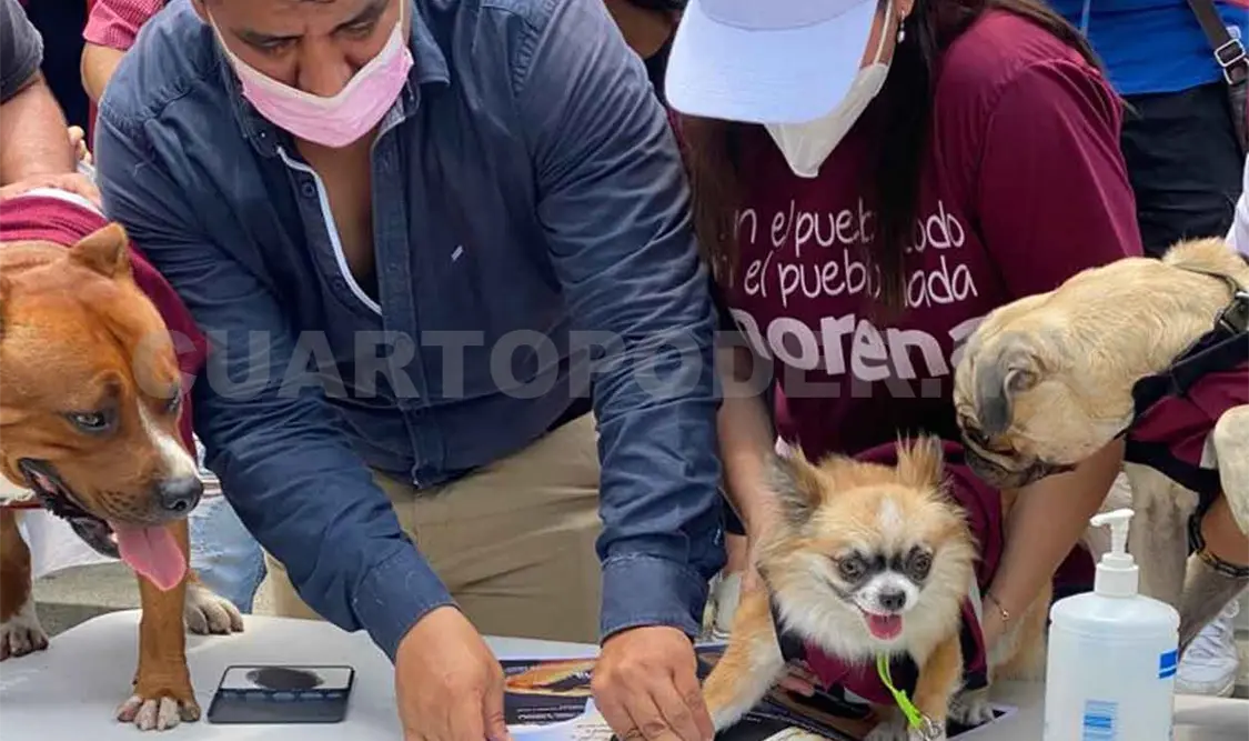 Paola Villamonte a favor del cuidado de animales