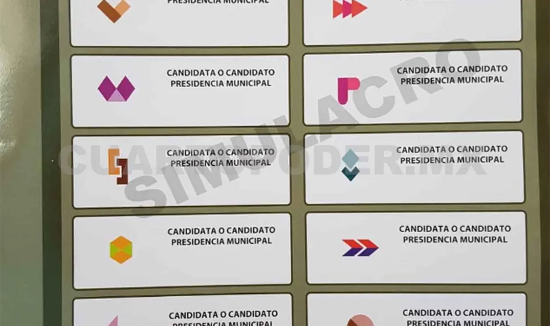 Papeletas tienen más de 20 medidas de seguridad