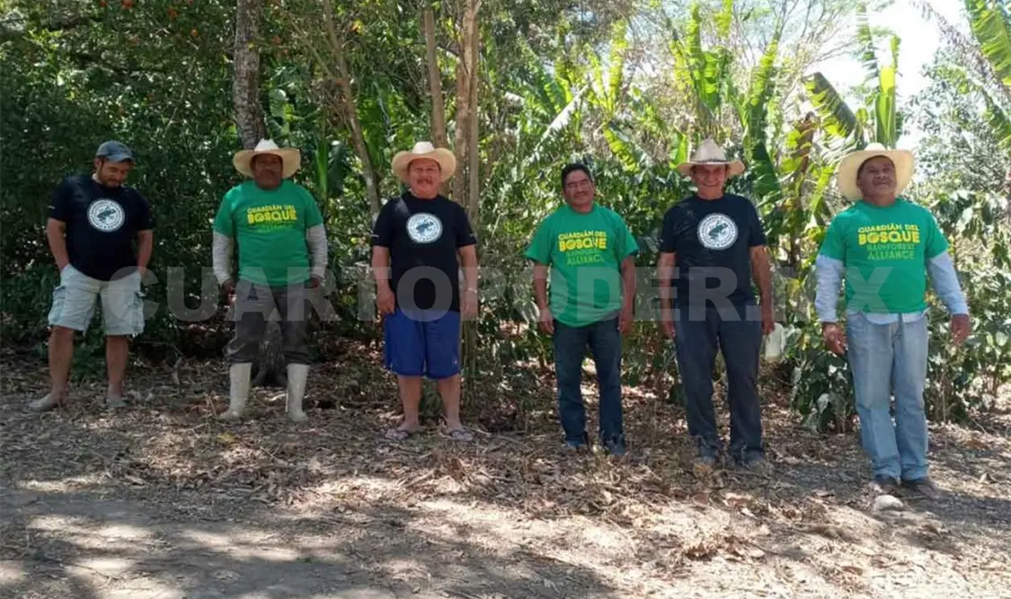 Cafeticultores reciben certificación internacional