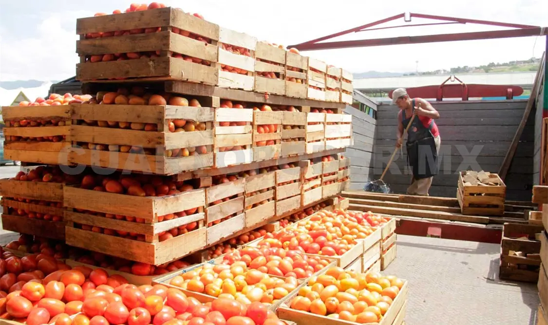 Propone diputada día estatal de los agricultores