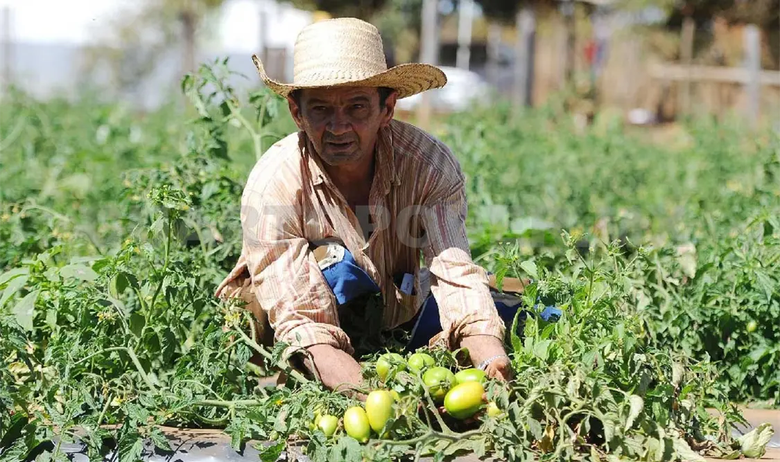 Los investigadores del Cimmyt consideran vital difundir el conocimiento entre todos los actores agrícolas. Cortesía