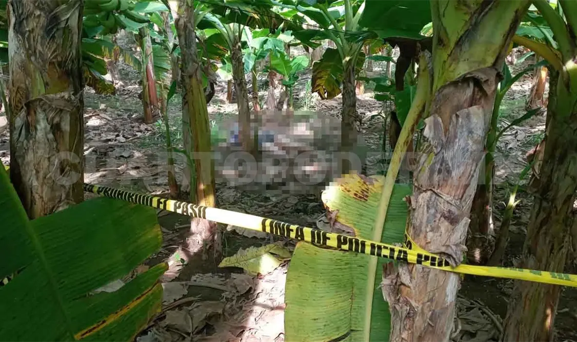 Lo asesinan a machetazos en una plantación