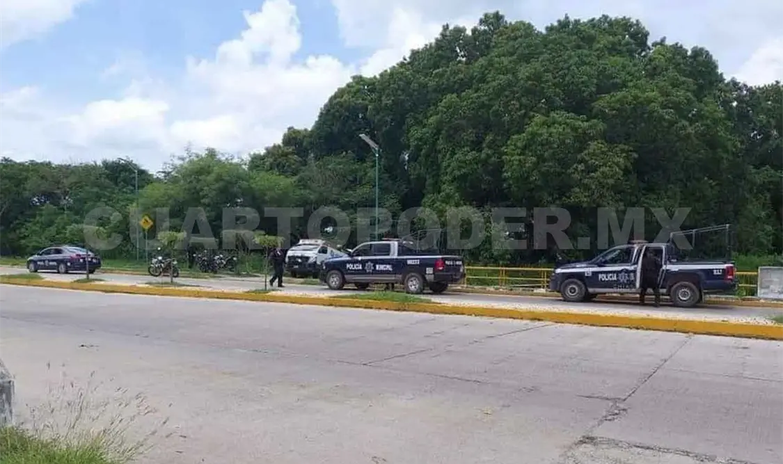 Hallan una niña en la maleza atada de pies y manos