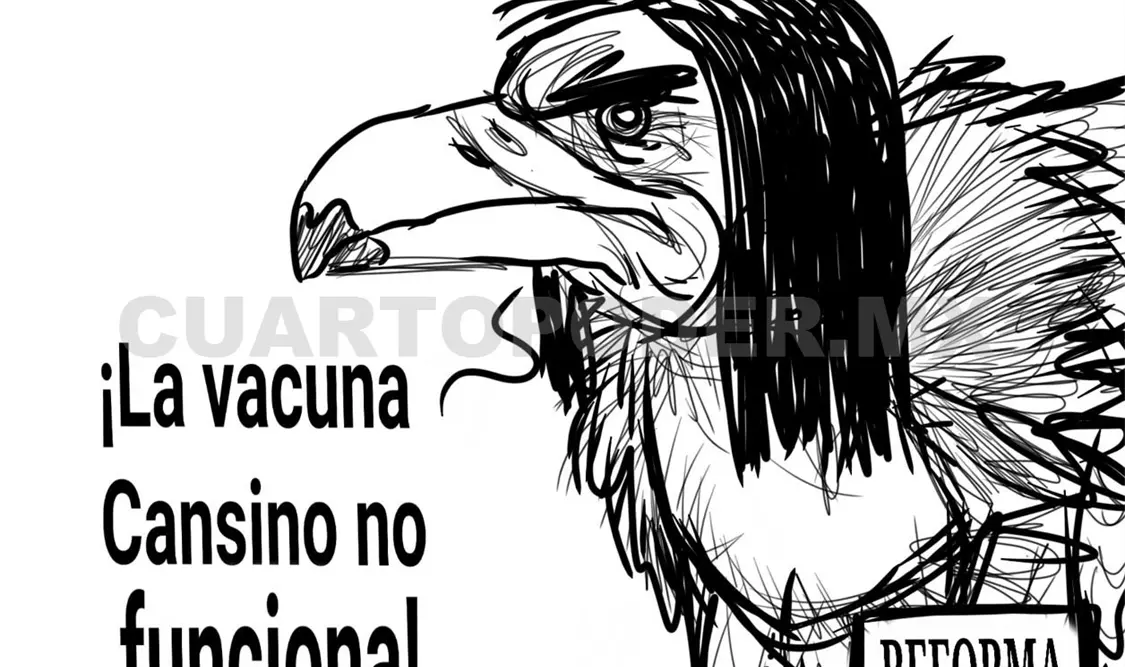 Las oportunidades de la pandemia