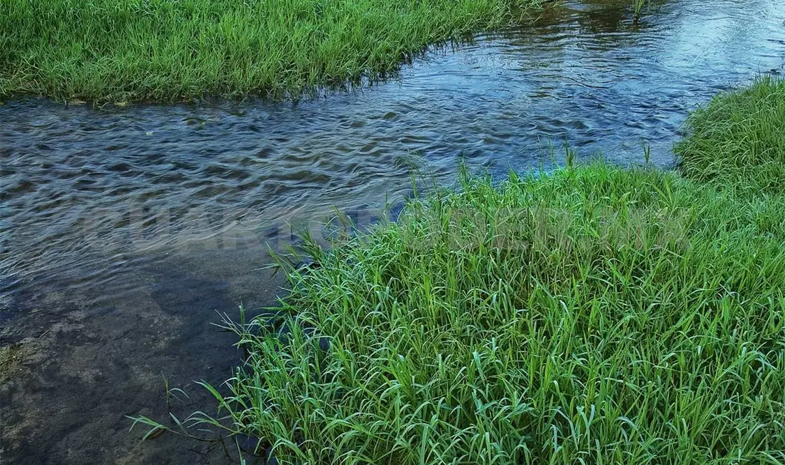 “Rosa Río” busca que exista una declaratoria para reconocer que varios de estos espacios están altamente contaminados. Diego Pérez / CP