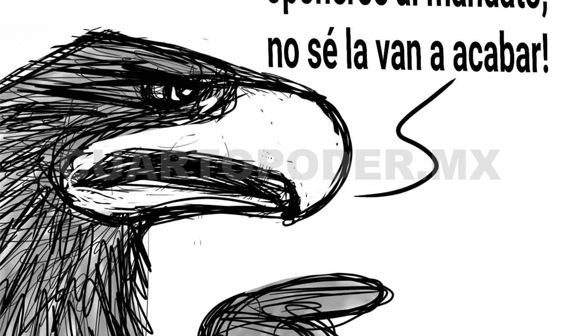 Después de las elecciones, las acciones
