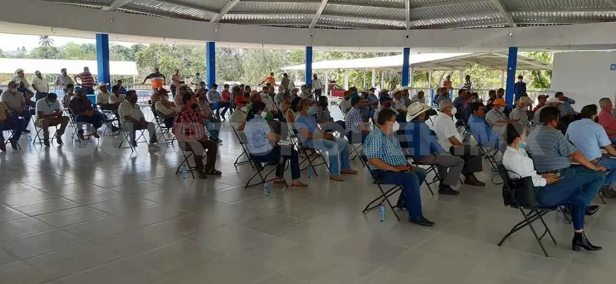 Siguen estudios para aclarar muerte de ganado