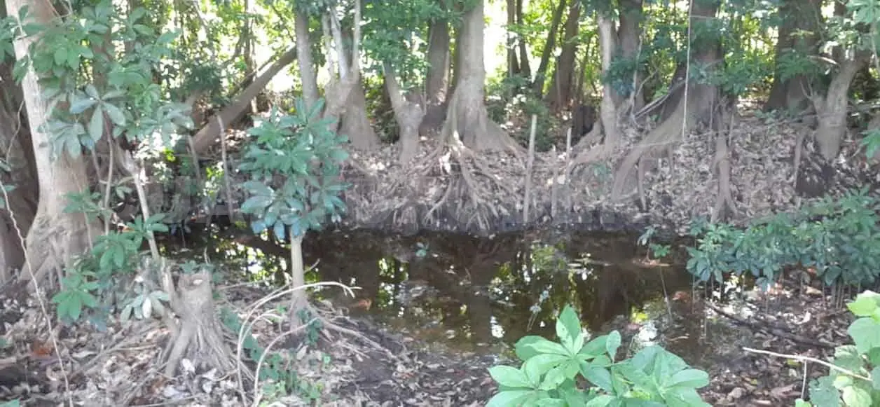 Reencauce de un río seca una laguna