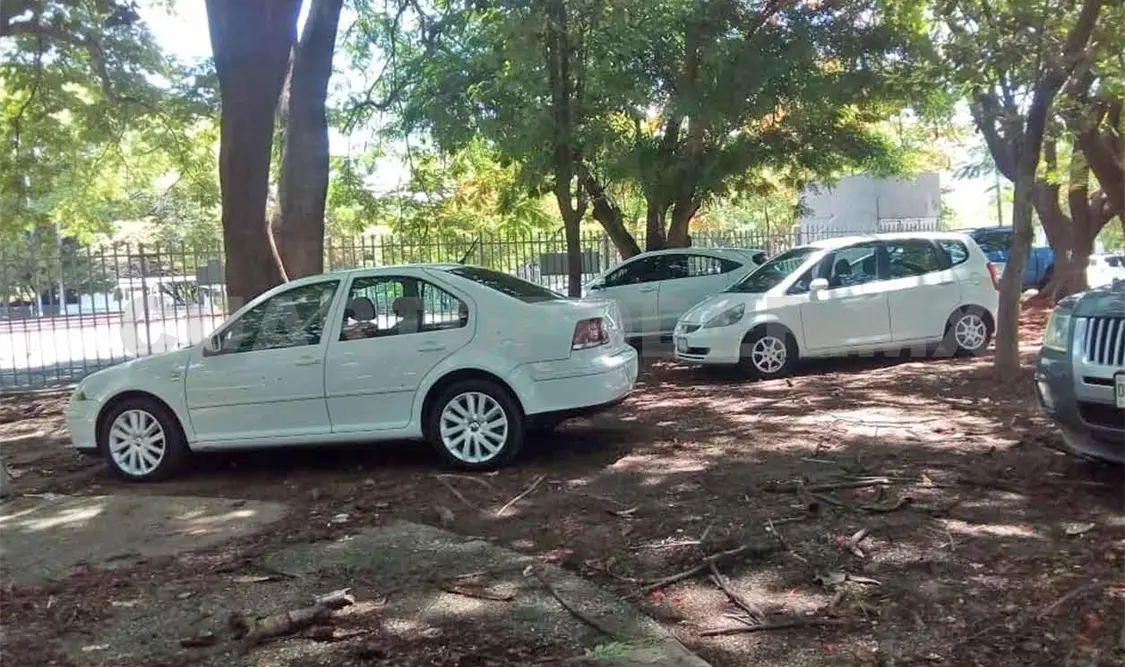 Utilizan área verde como estacionamiento