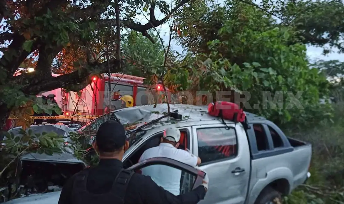 Camioneta se impacta contra árbol