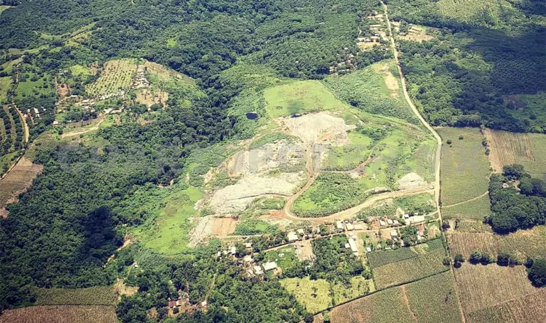 Selva baja caducifolia, al borde de la desaparición