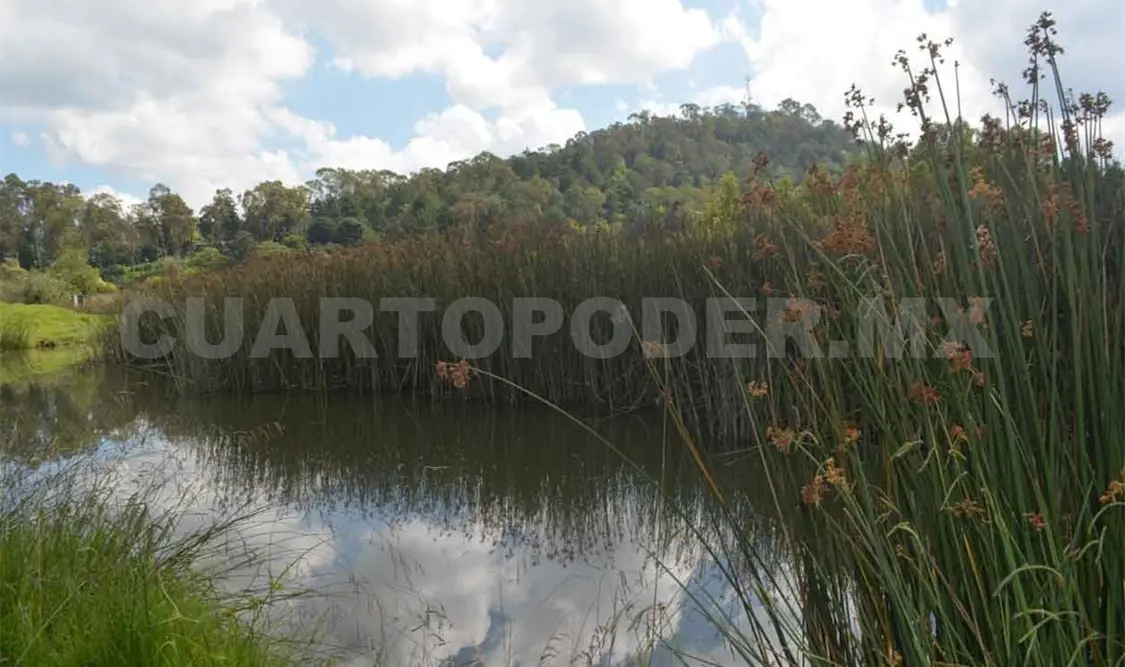 Detectan descargas de aguas residuales en humedales