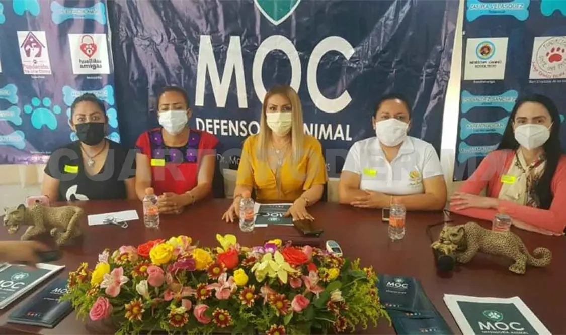 Exigen castigos más severos por maltrato animal
