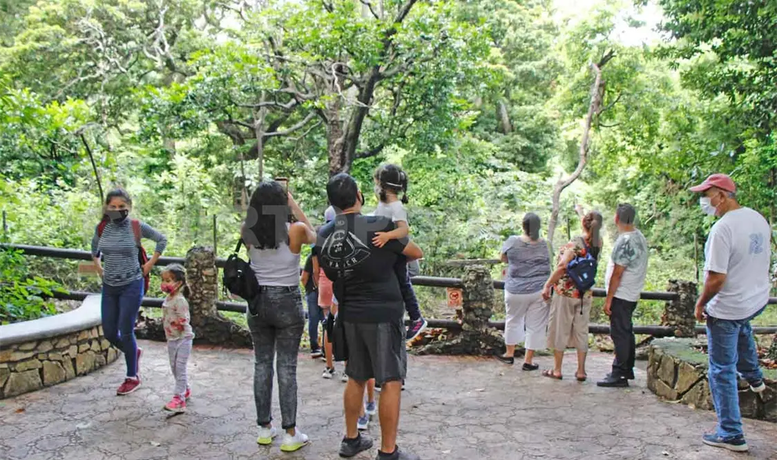 Impulsan la reproducción del quetzal y pavón