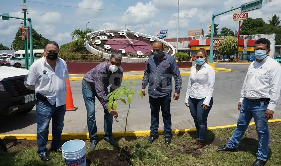 Ayuntamiento celebra el Día del Árbol en México