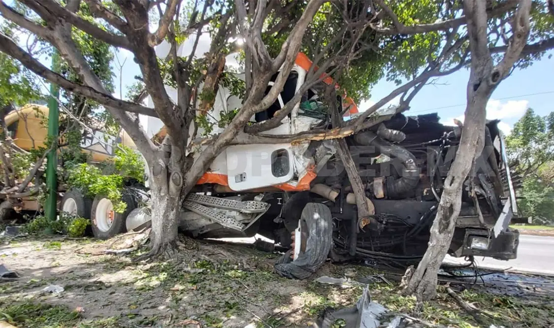 La pesada unidad que transportaba una retroexcavadora, se quedó sin frenos y al subir a la jardinera derribó varios árboles. Ulises López / CP