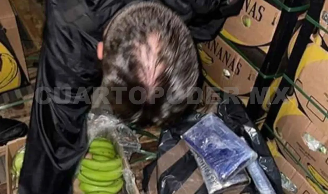 Aseguran 178 paquetes de cocaína en un tráiler