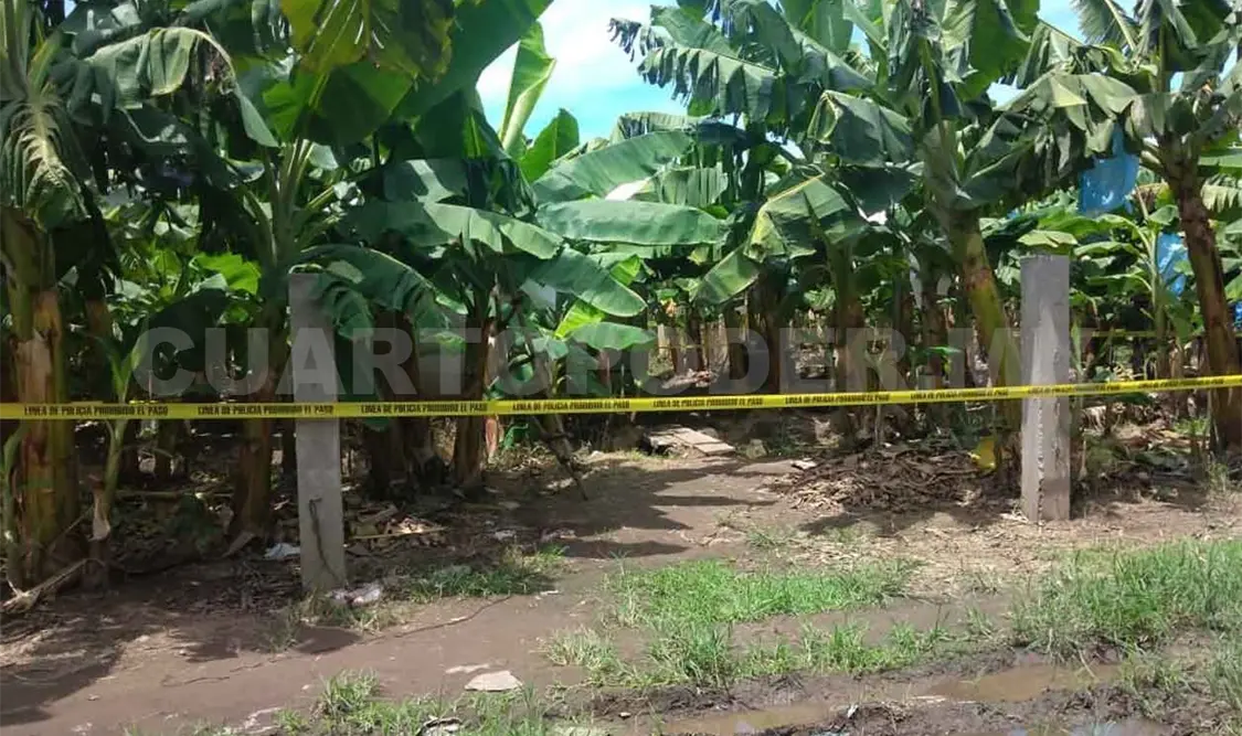 Matan a golpes a velador de un rancho bananero