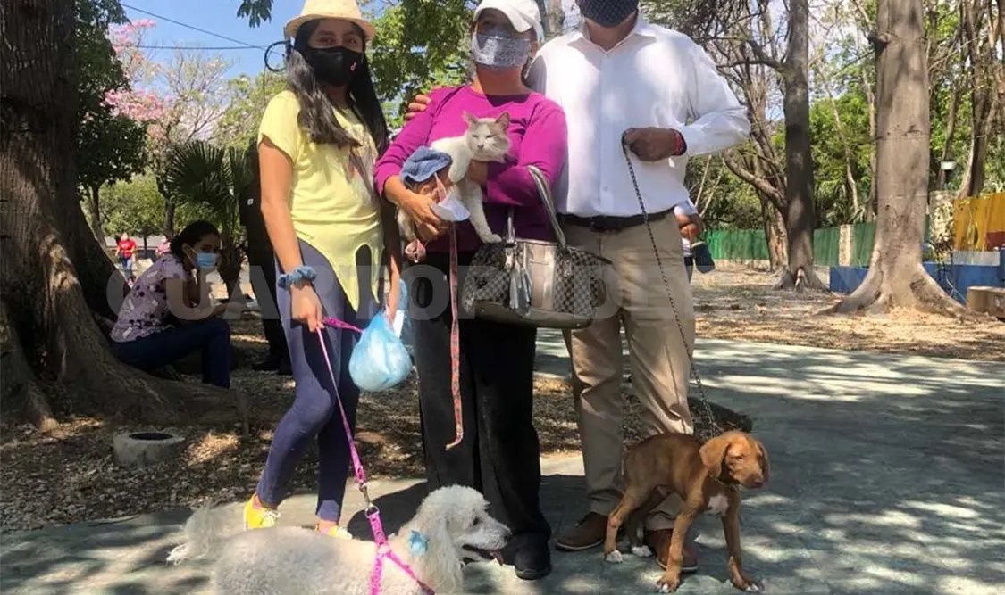 La Organización Mundial de la Salud (OMS) estima que el 70 % de los perros en el mundo no tienen un hogar. Diego Pérez / CP
