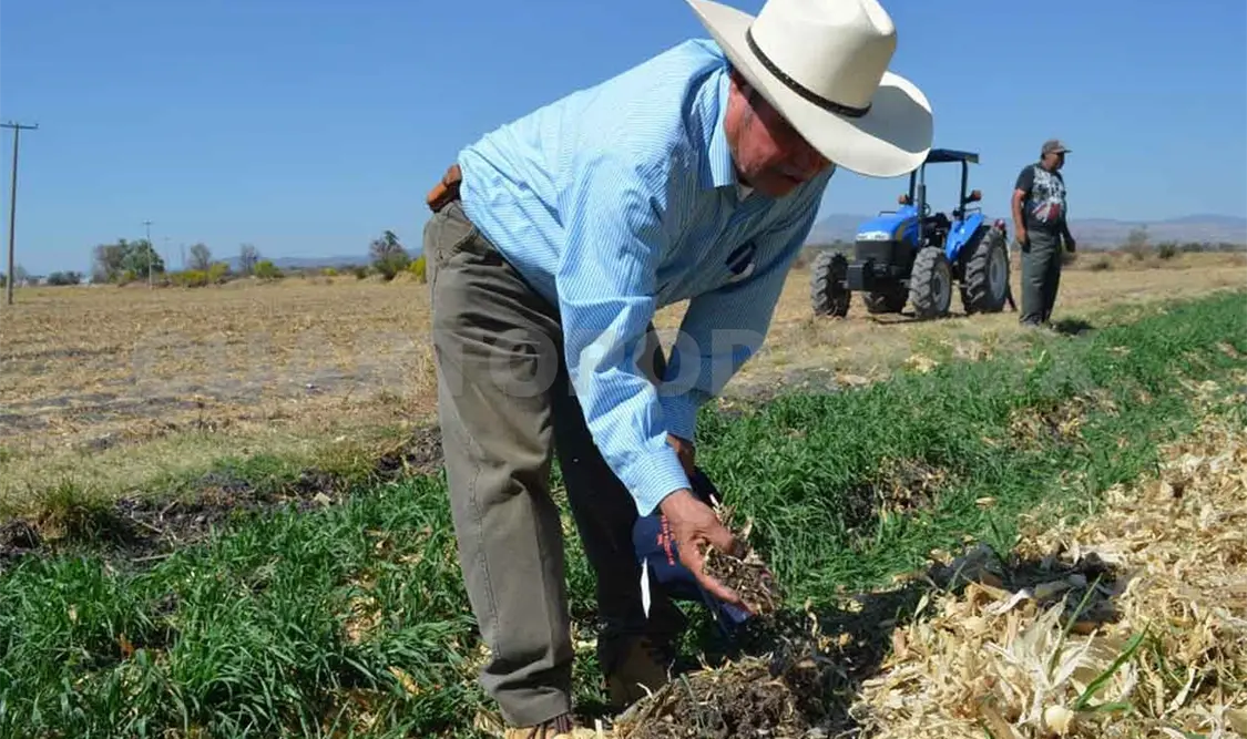 Más de 16 mil productores diversifican sus cultivos