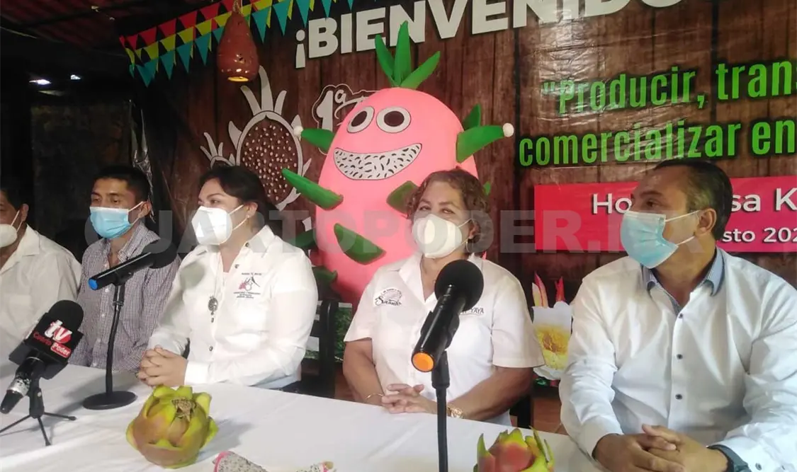 Productores apuestan a la siembra de la pitahaya