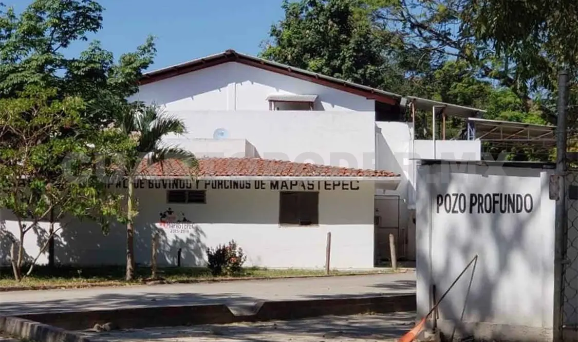 Registran brote masivo de covid en rastro