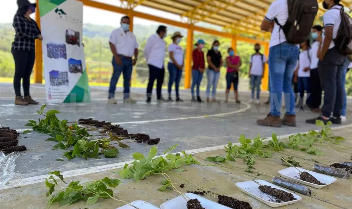 Promueven combate al impacto ambiental