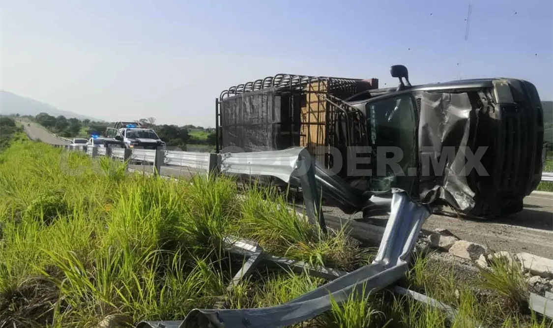 Vuelca camión que transportaba cerdos