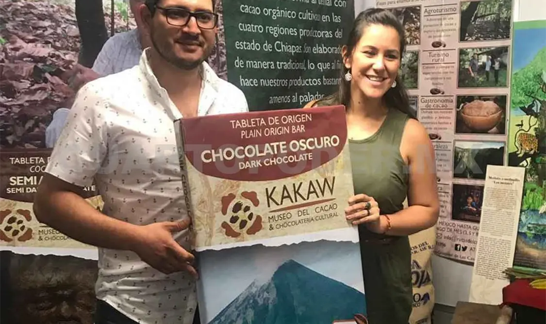 Cacao chiapaneco, entre los mejores del mundo