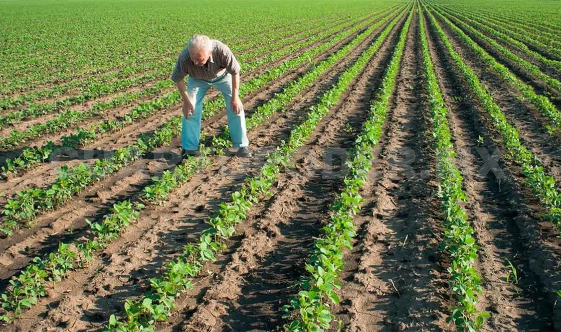 Calentamiento causará demanda de energía