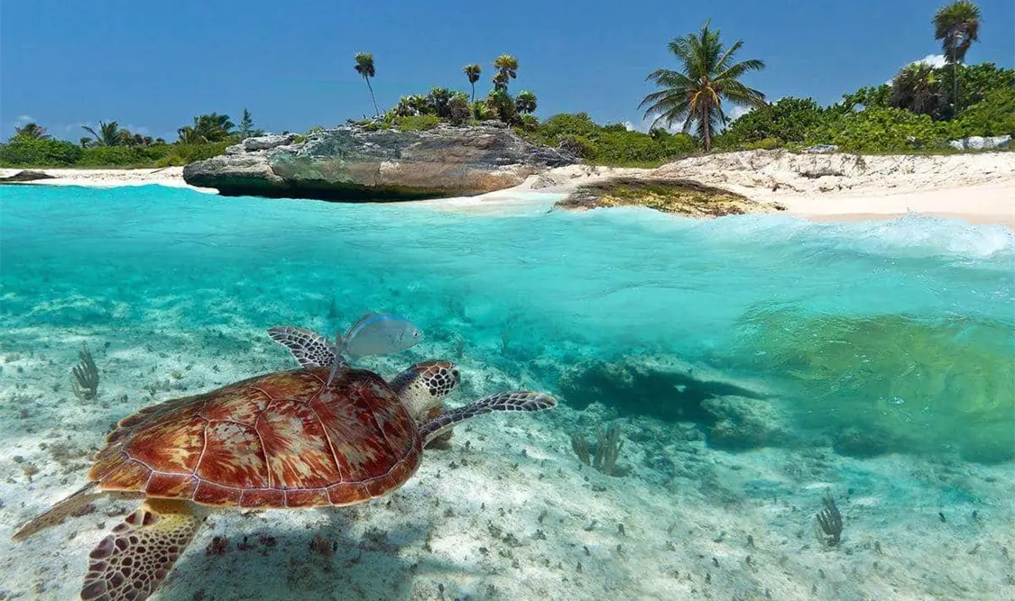 Plantean posicionar a México como un gran destino turístico internacional. Cortesía