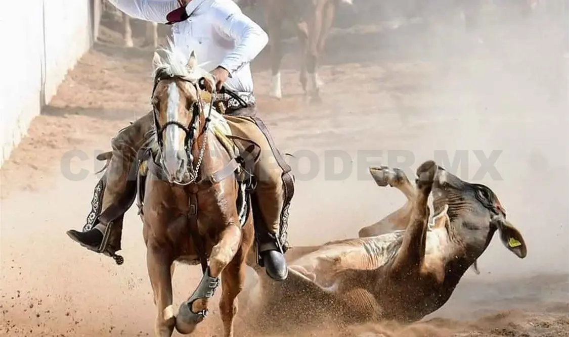 Se preparan para el 2º Campeonato Estatal