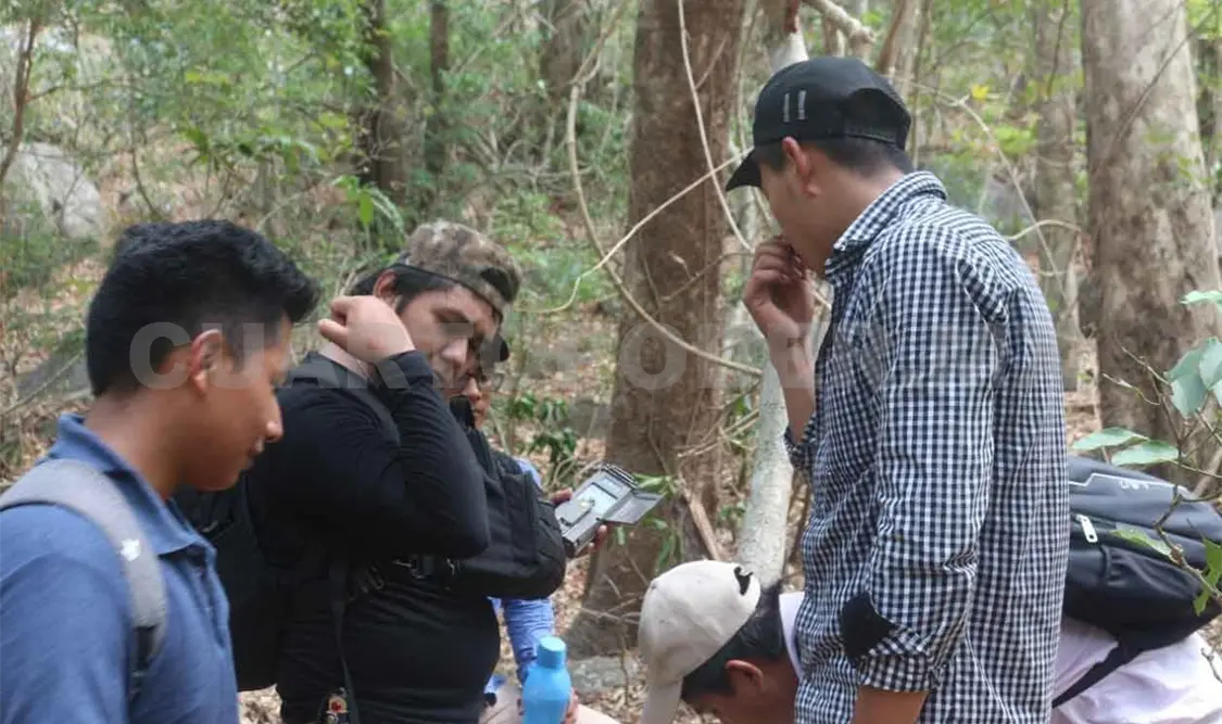 Buscan preservar población de venados cola blanca