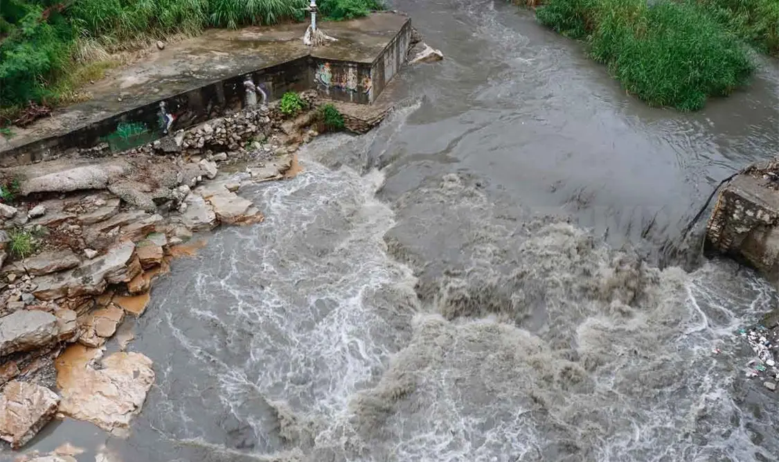 Presencia de peces no es síntoma de un río limpio