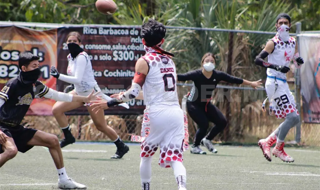 Cobras, Piratas Jr., Hunters e Imperium parten como favoritas para avanzar a semifinales, luego de haber clasificado a “playoffs” en los primeros lugares. Diego Pérez/CP