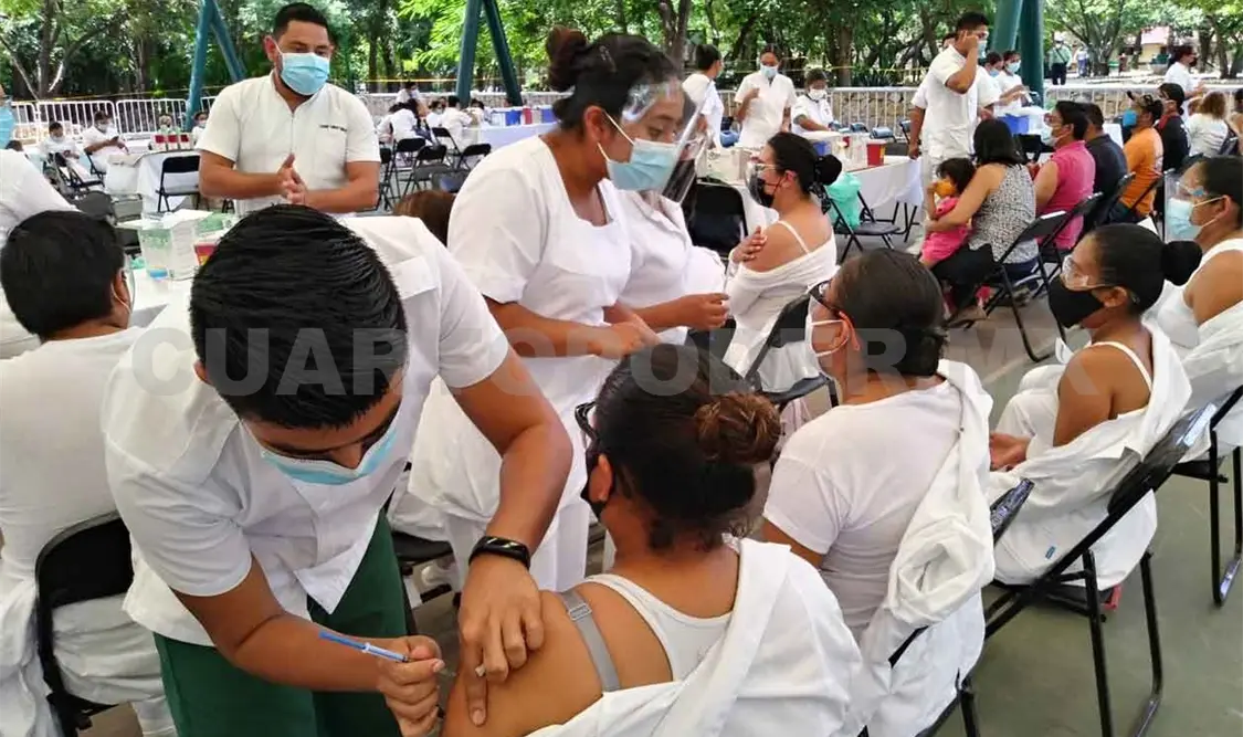 Responsabilidad social hace que Chiapas esté en verde