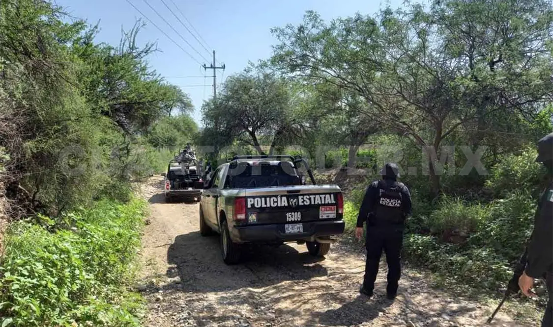 Localizan cadáver en estado de descomposición