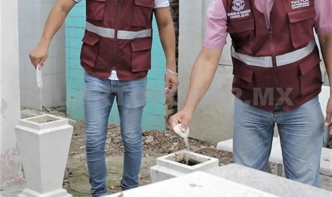 Abatizan 17 mil floreros en panteones municipales