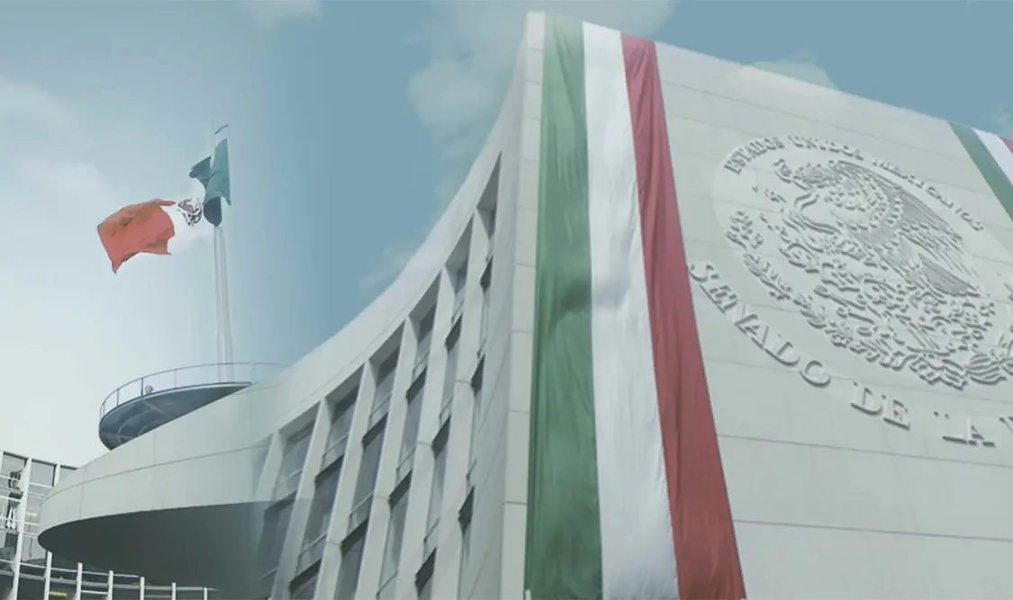 Acudiera a dichas instancias, ya que los organismos internacionales requieren conocer e investigar qué pasó en las recientes elecciones en México. Cortesía