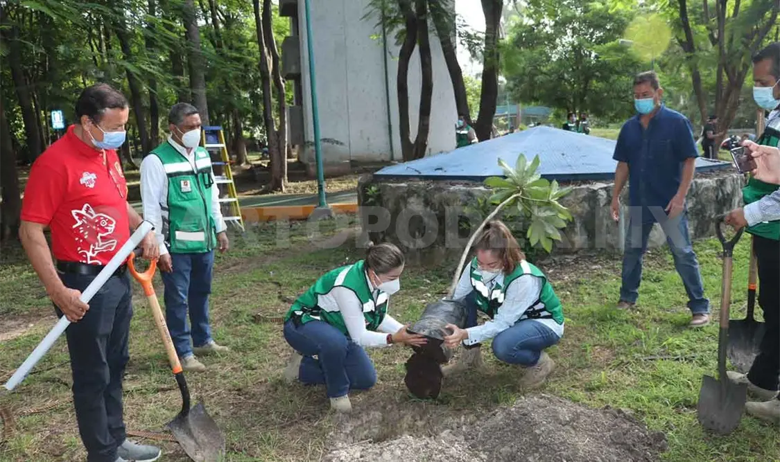 Realizan reforestación en el Parque del Oriente