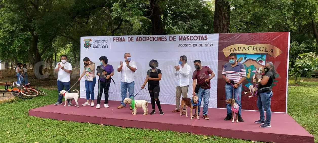 Realiza Ayuntamiento feria de adopciones de mascotas