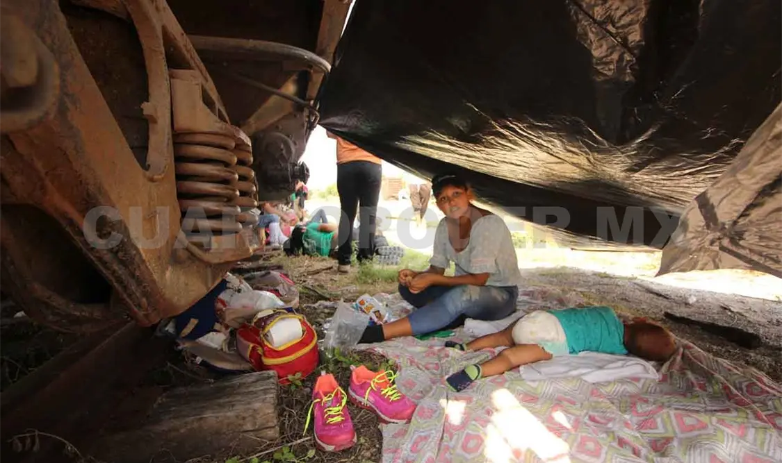 Preocupa a Unicef situación de los menores migrantes