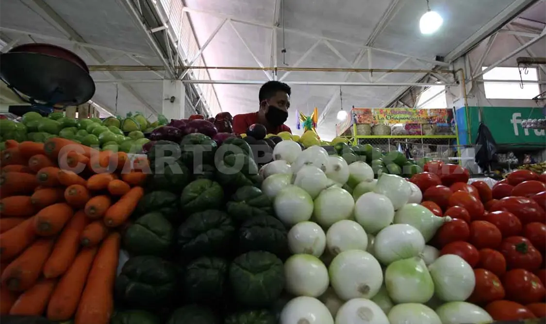 Producción agrícola deja más de 17 mil mdp