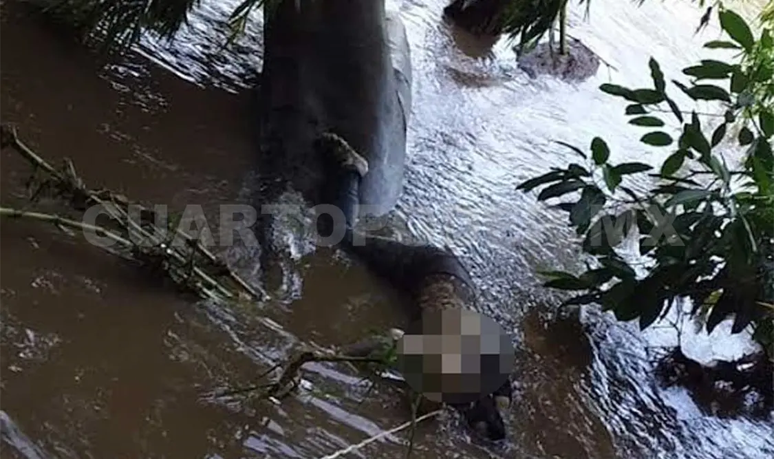 A través de una llamada de auxilio al 911 se reportó el hallazgo del cadáver en el río Cahoacán. Víctor Sánchez / CP