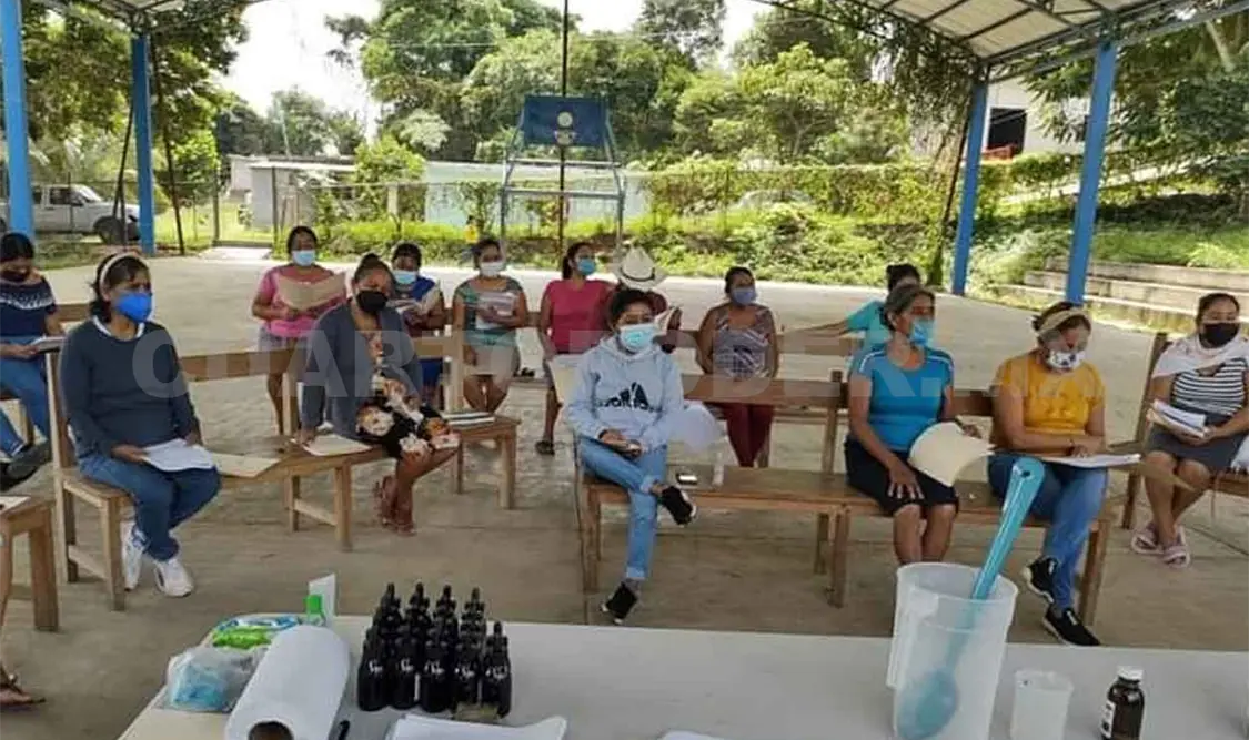 Buscan preservar la medicina tradicional