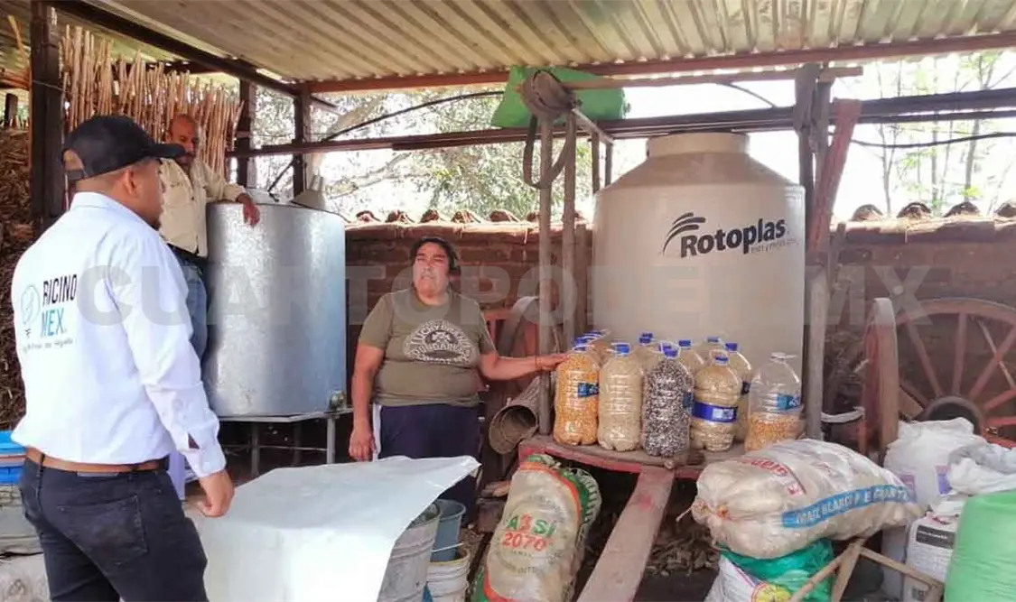 Reutilizar PET para almacenar semillas