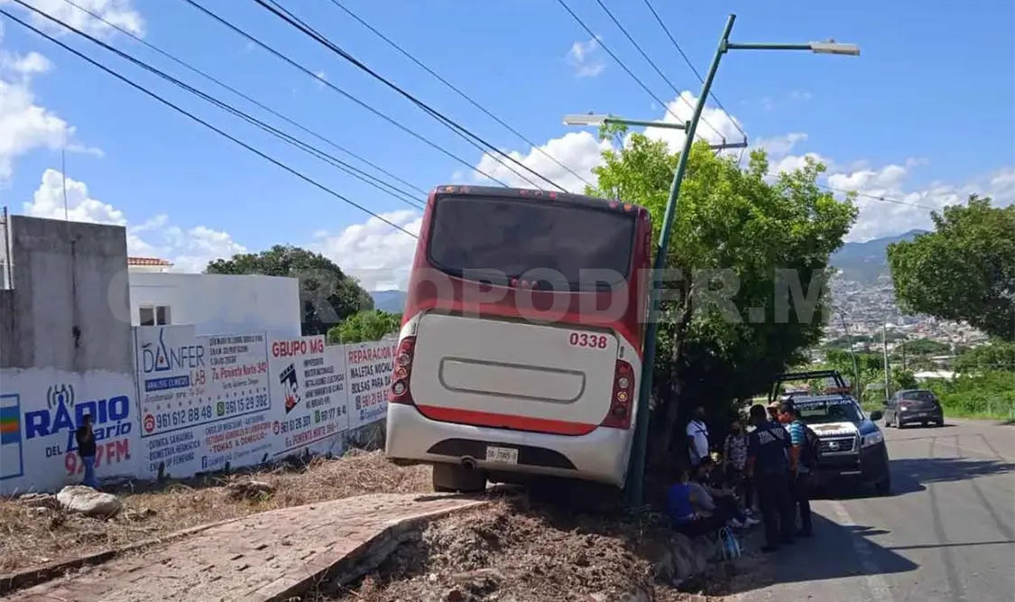 Autobús de Arnecom se estrella contra un árbol